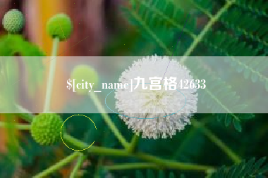 台山九宫格42633