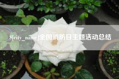 台山全国消防日主题活动总结