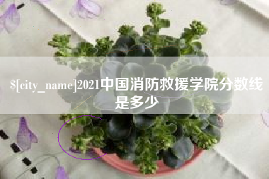台山2021中国消防救援学院分数线是多少