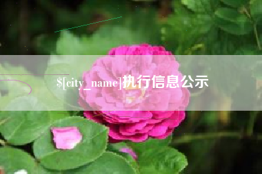 台山执行信息公示