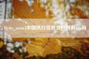 台山中国执行信息公开网有app吗