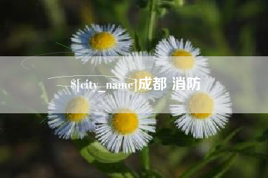 台山成都 消防