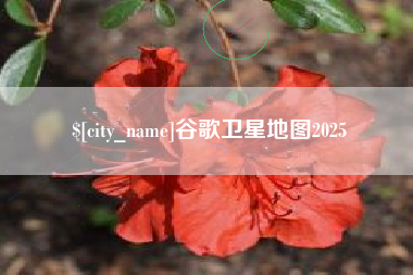 台山谷歌卫星地图2025