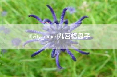 台山九宫格盘子