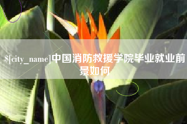 台山中国消防救援学院毕业就业前景如何