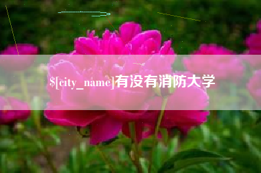 台山有没有消防大学