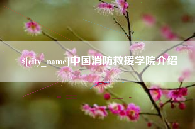 台山中国消防救援学院介绍