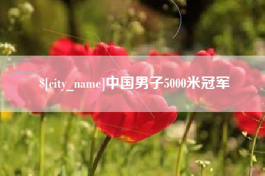 台山中国男子5000米冠军