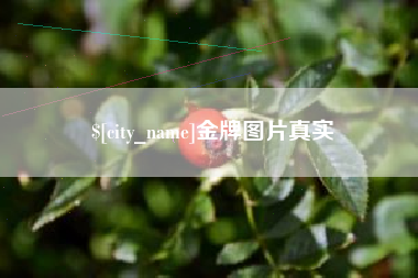 台山金牌图片真实