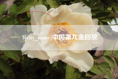 台山中国第九金回放
