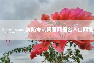 台山消防考试网官网报名入口网址