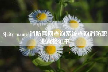 台山消防官网查询系统查询消防职业资格证书
