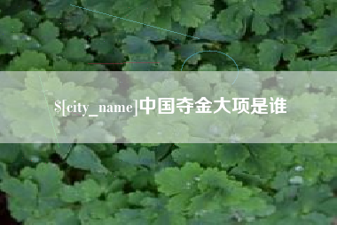 台山中国夺金大项是谁