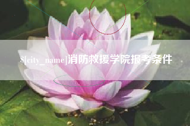 台山消防救援学院报考条件