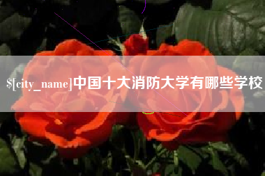 台山中国十大消防大学有哪些学校
