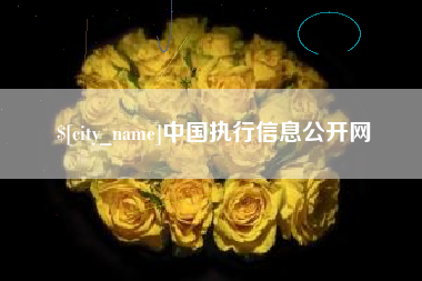 台山中国执行信息公开网