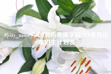 台山中国消防救援学院2020年在山东招生计划表