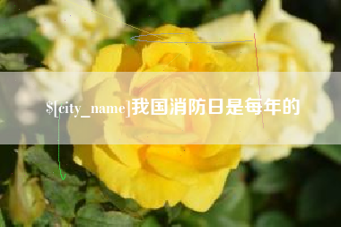 台山我国消防日是每年的