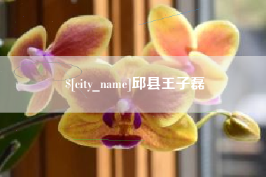 台山邱县王子磊