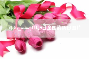 台山11月9日全国消防日图片
