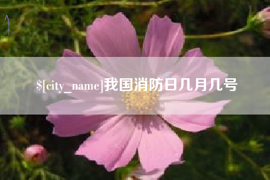台山我国消防日几月几号
