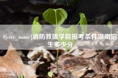 台山消防救援学院报考条件湖南招生多少分