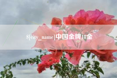台山中国金牌18金