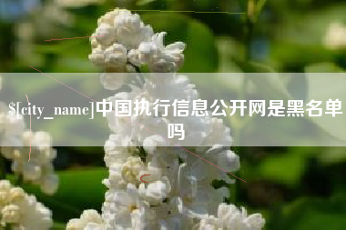 台山中国执行信息公开网是黑名单吗