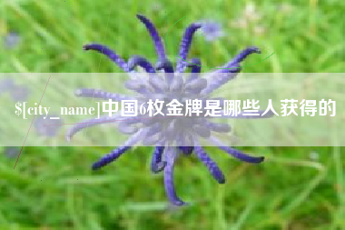 台山中国6枚金牌是哪些人获得的