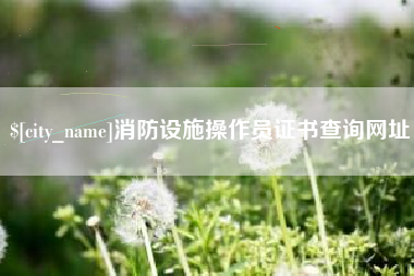 台山消防设施操作员证书查询网址