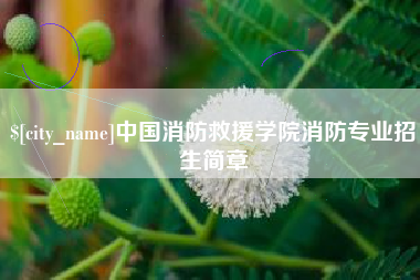 台山中国消防救援学院消防专业招生简章