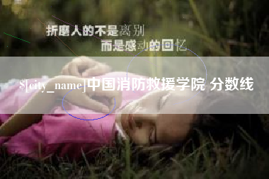 台山中国消防救援学院 分数线