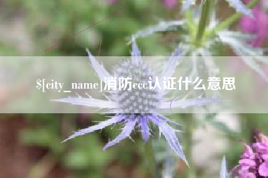 台山消防ccc认证什么意思