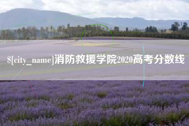 台山消防救援学院2020高考分数线