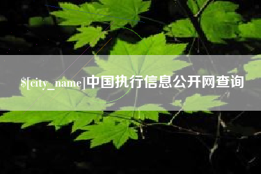 台山中国执行信息公开网查询