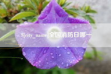 台山全国消防日哪一