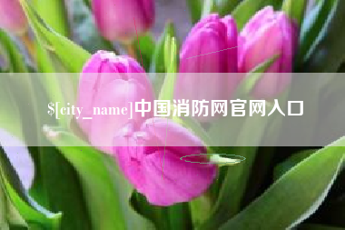 台山中国消防网官网入口