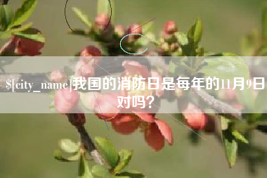 台山我国的消防日是每年的11月9日对吗？