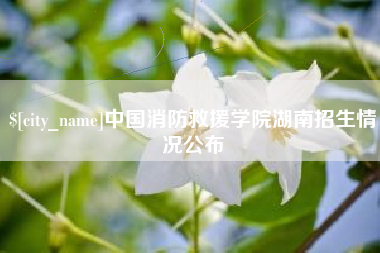 台山中国消防救援学院湖南招生情况公布