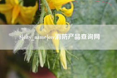 台山ccc消防产品查询网