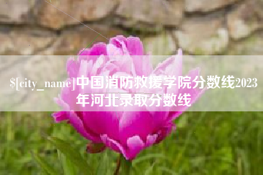 台山中国消防救援学院分数线2023年河北录取分数线