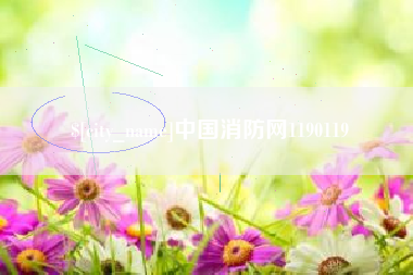 台山中国消防网1190119