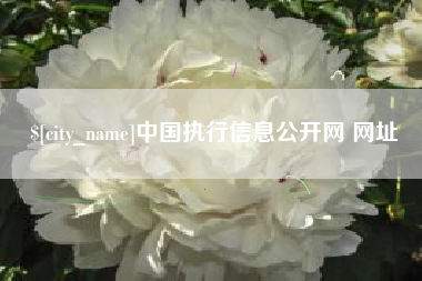 台山中国执行信息公开网 网址