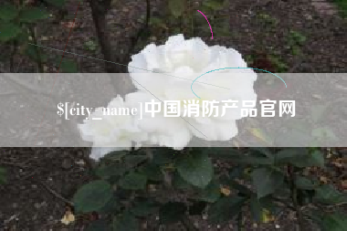 台山中国消防产品官网
