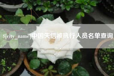 台山中国失信被执行人员名单查询
