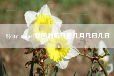 台山我国消防日是几月几日几日
