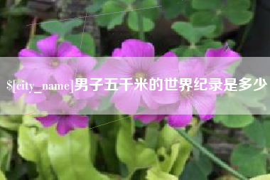 台山男子五千米的世界纪录是多少