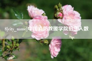 台山中国消防救援学院招生人数