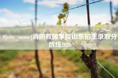 台山消防救援学院山东招生录取分数线2020