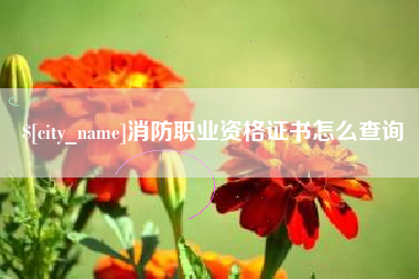 台山消防职业资格证书怎么查询